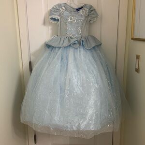 Cinderella Costume